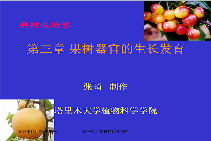 第三章 果树器官生长发育