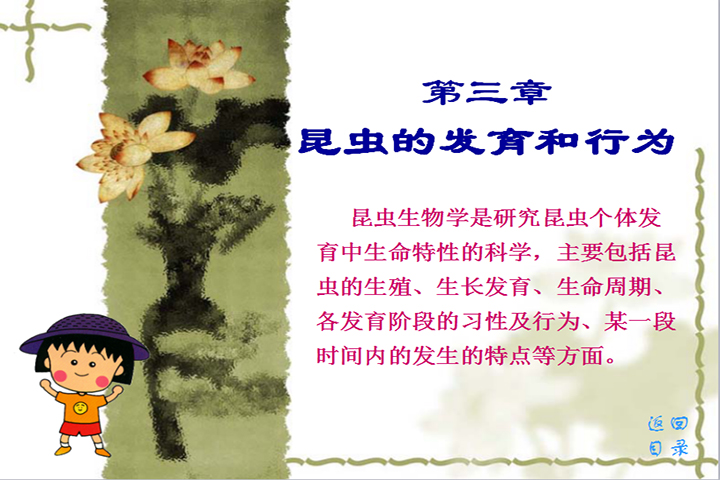 第三章　昆虫发育和行为