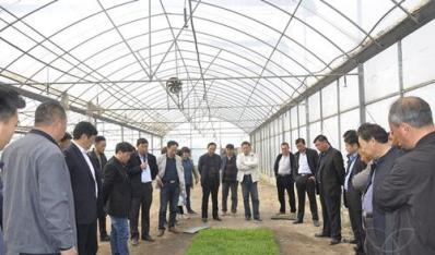 白马湖分公司举办培育壮秧技术培训会