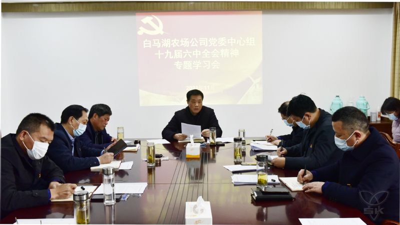 农场公司党委中心组举行十九届六中全会精神专题学