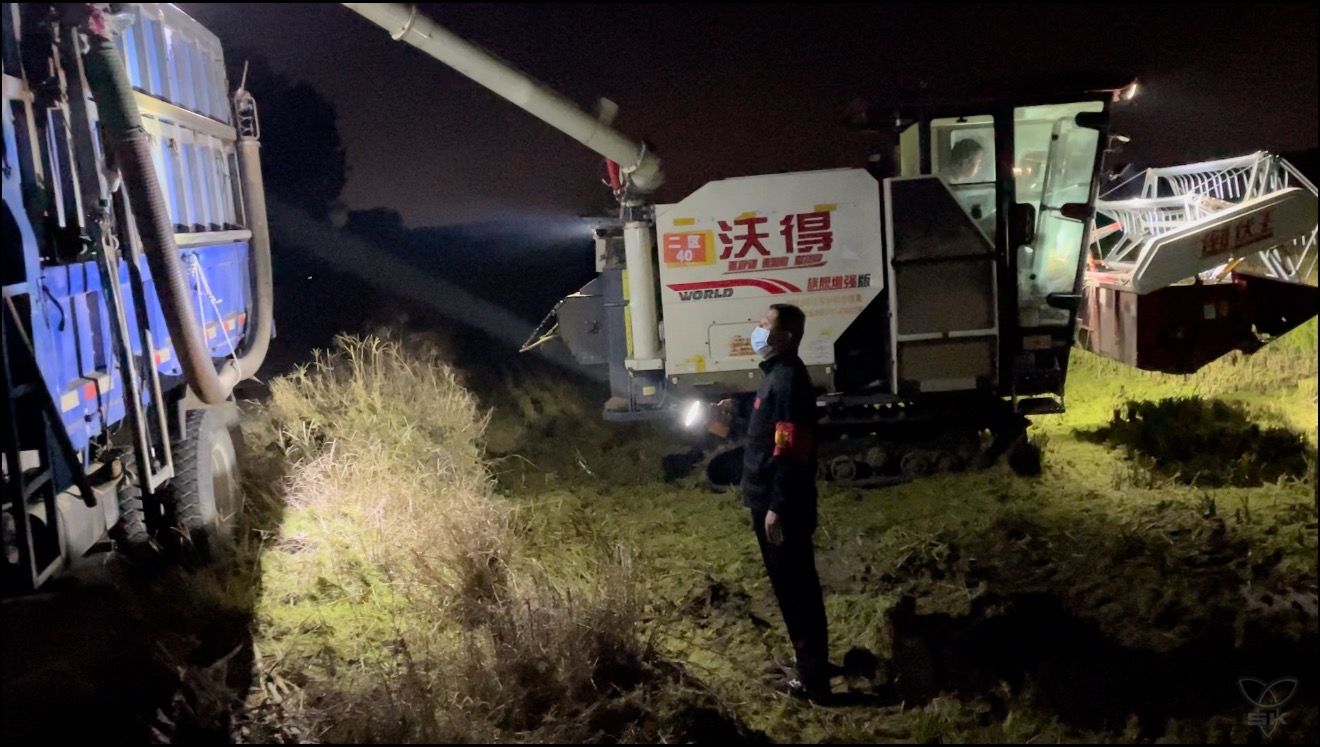 收获在金秋④丨党建引领助“三秋” 干群同心保全胜