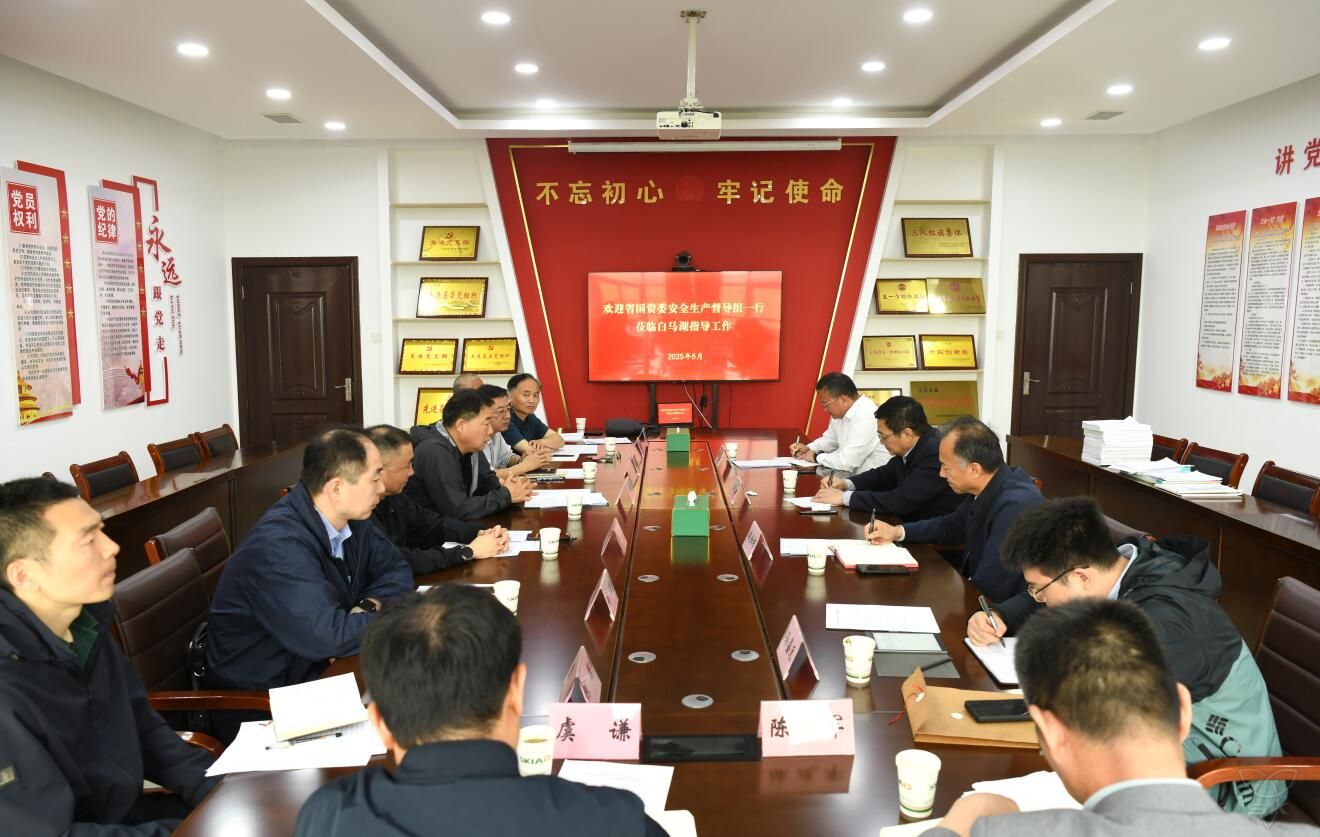 省国资委第二督导组来白马湖开展安全生产常态化督查