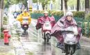 暴雨送清凉